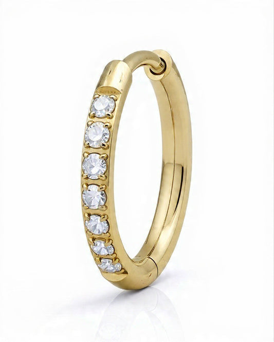 Orecchino Anouk Titanio