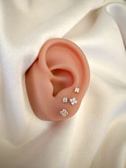 Piercing Dafne titanio