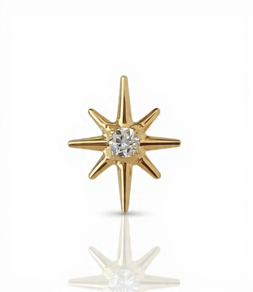 Piercing Logo titanio