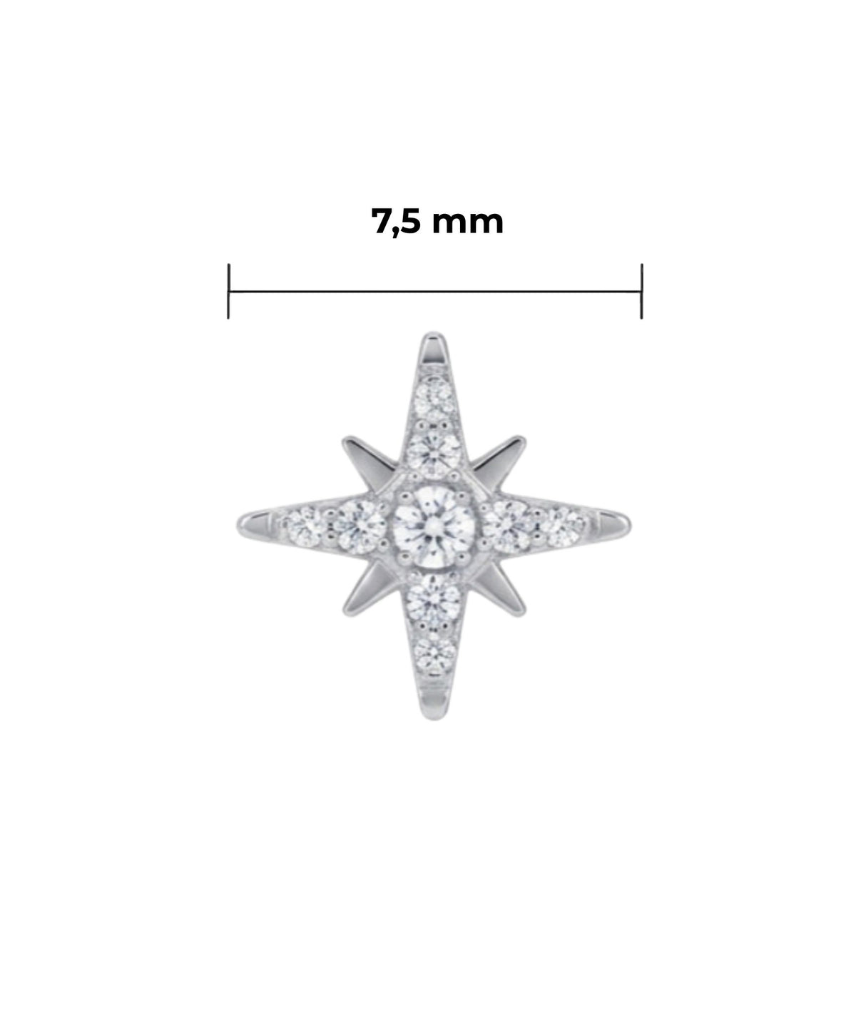 Piercing Logo Shine titanio