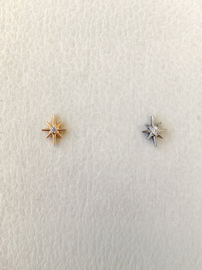 Piercing Logo titanio