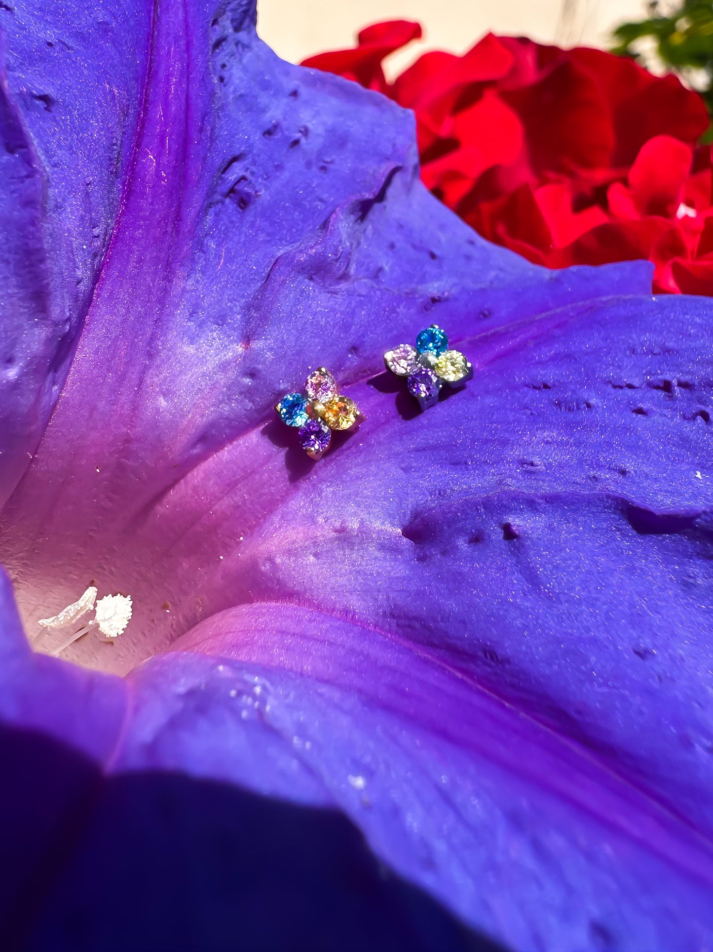 Piercing Dafne Colorful titanio