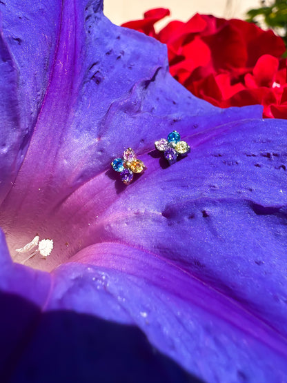 Piercing Dafne Colorful titanio