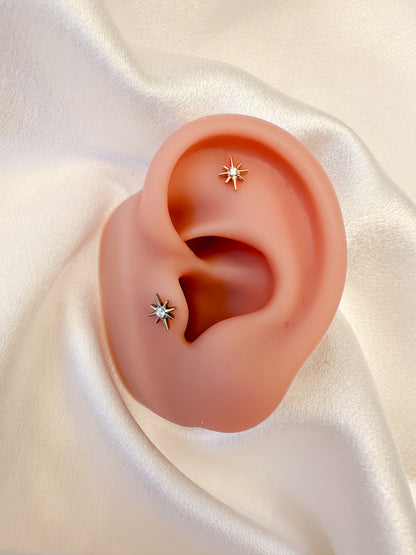 Piercing Logo titanio