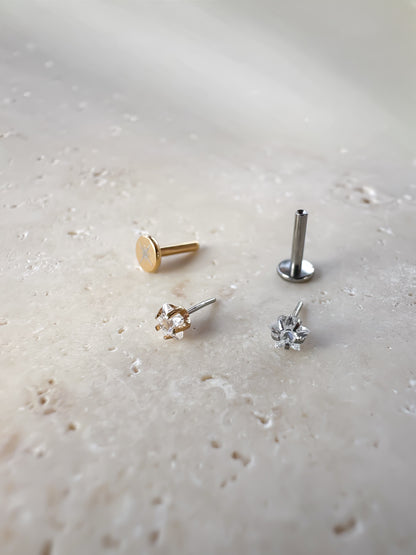 Piercing Starry Shine titanio