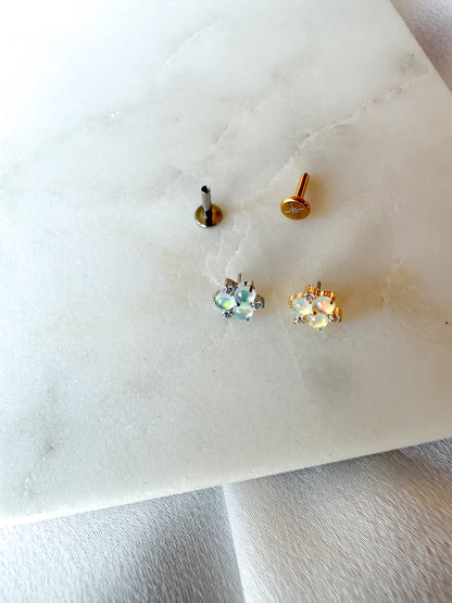 Piercing Ninfea titanio