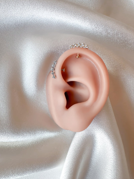 Piercing Vertical Charlotte reverse titanio