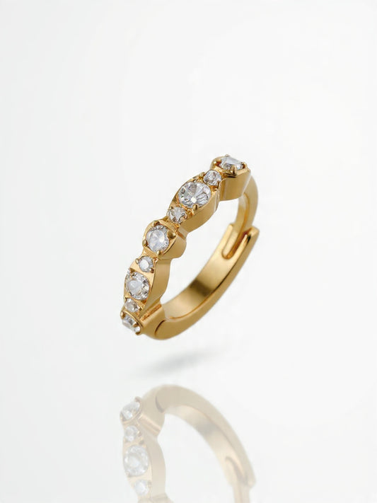 Orecchino Alanis Titanio