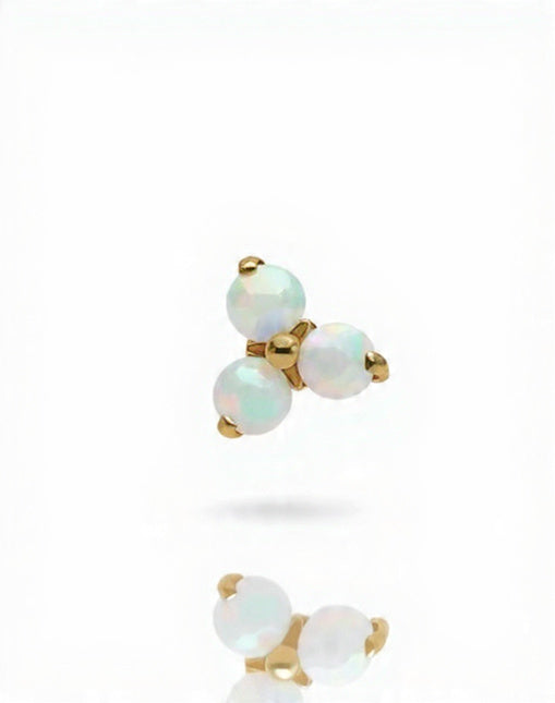 Piercing Arya titanio