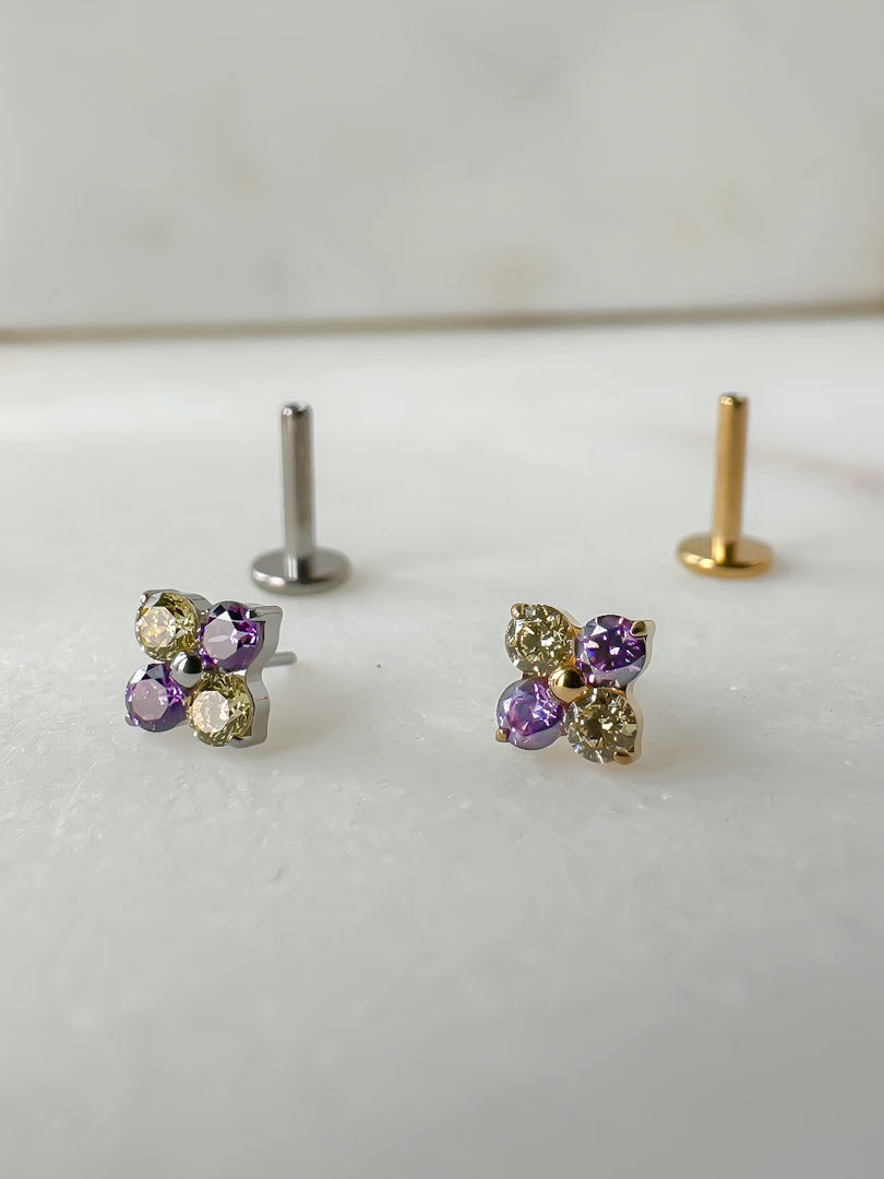 Piercing Dafne Colorful titanio