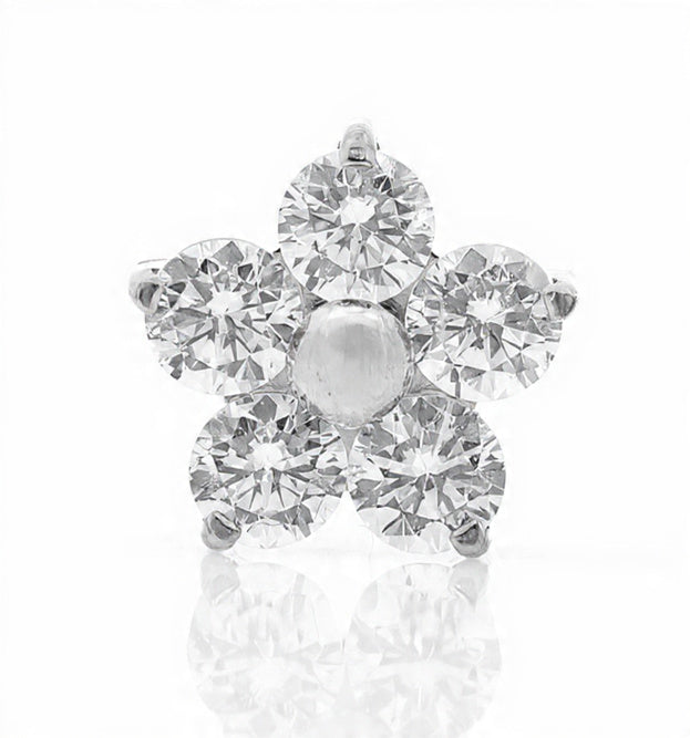 Piercing Bloom titanio