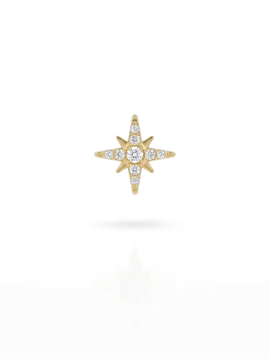 Piercing Logo Shine titanio