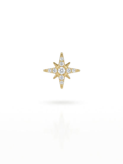 Piercing Logo Shine titanio