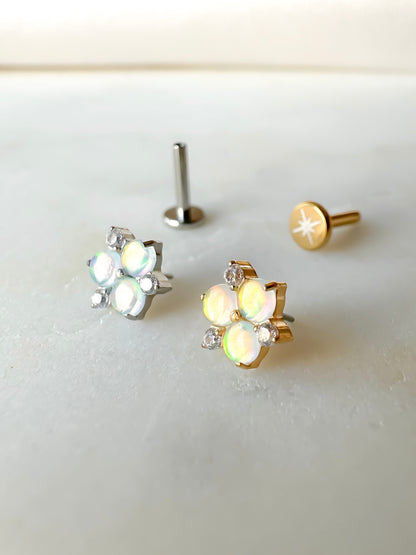 Piercing Ninfea titanio