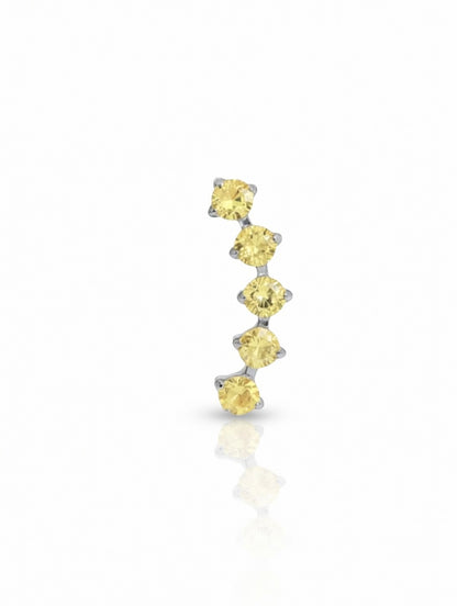 Piercing Charlotte Colorful titanio