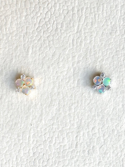 Piercing Ninfea titanio