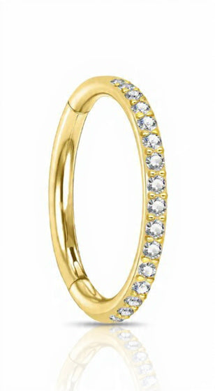 Piercing Hoop Shine titanio