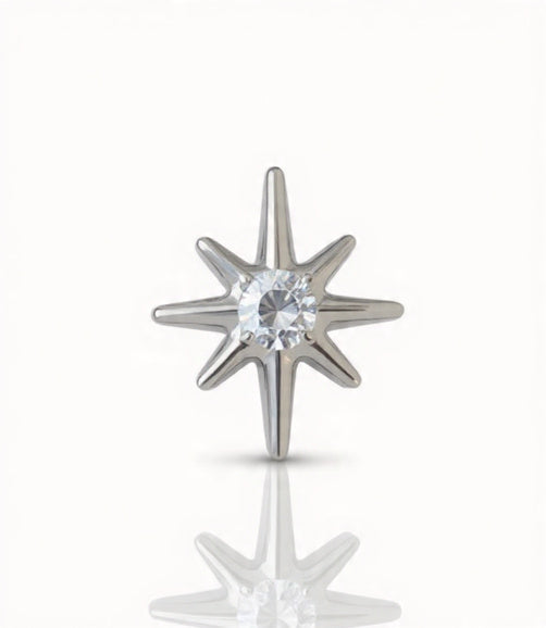 Piercing Logo titanio