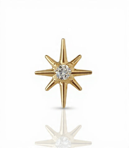 Piercing Logo titanio