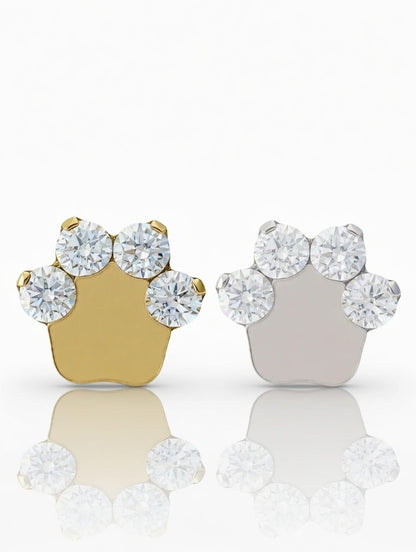 Piercing Paw titanio